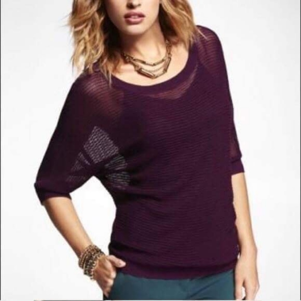 Express Dolman Mesh Sweater